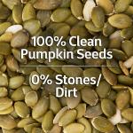 GranoFoods Premium Pumpkin Seeds – Crunchy, Nutritious, and Packed with Natural Goodness