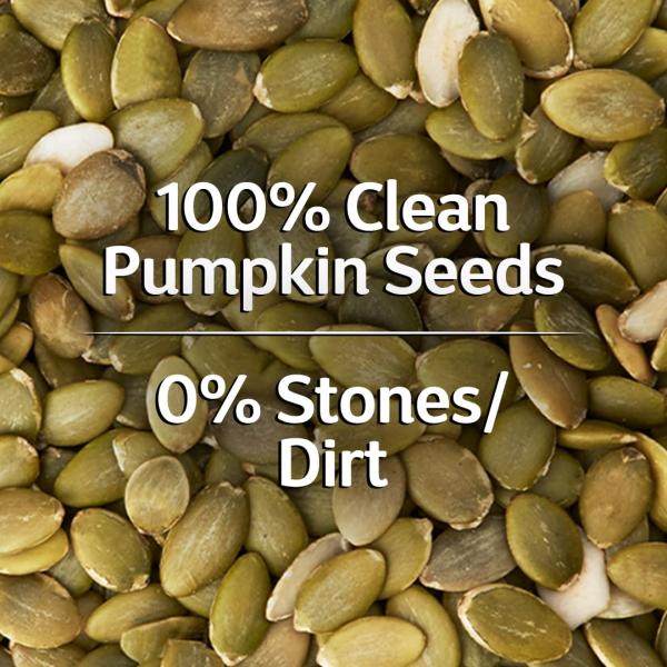 GranoFoods Premium Pumpkin Seeds – Crunchy, Nutritious, and Packed with Natural Goodness