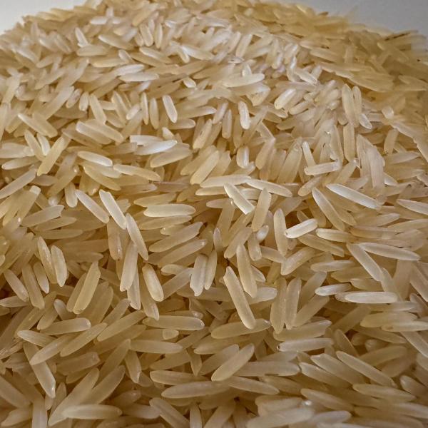 Grano Sella 1121 Steamed Rice Premium Quality